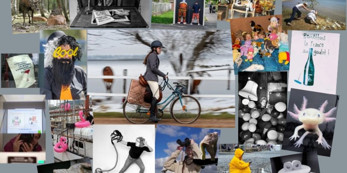 Pépites de Novembre