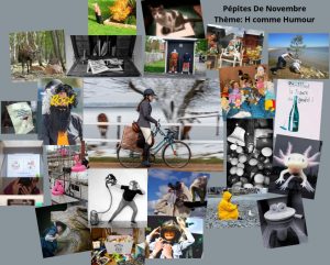 Lire la suite à propos de l’article Pépites de Novembre