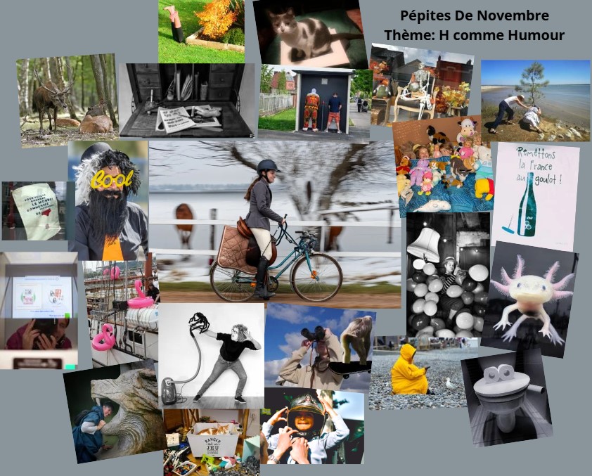 You are currently viewing Pépites de Novembre