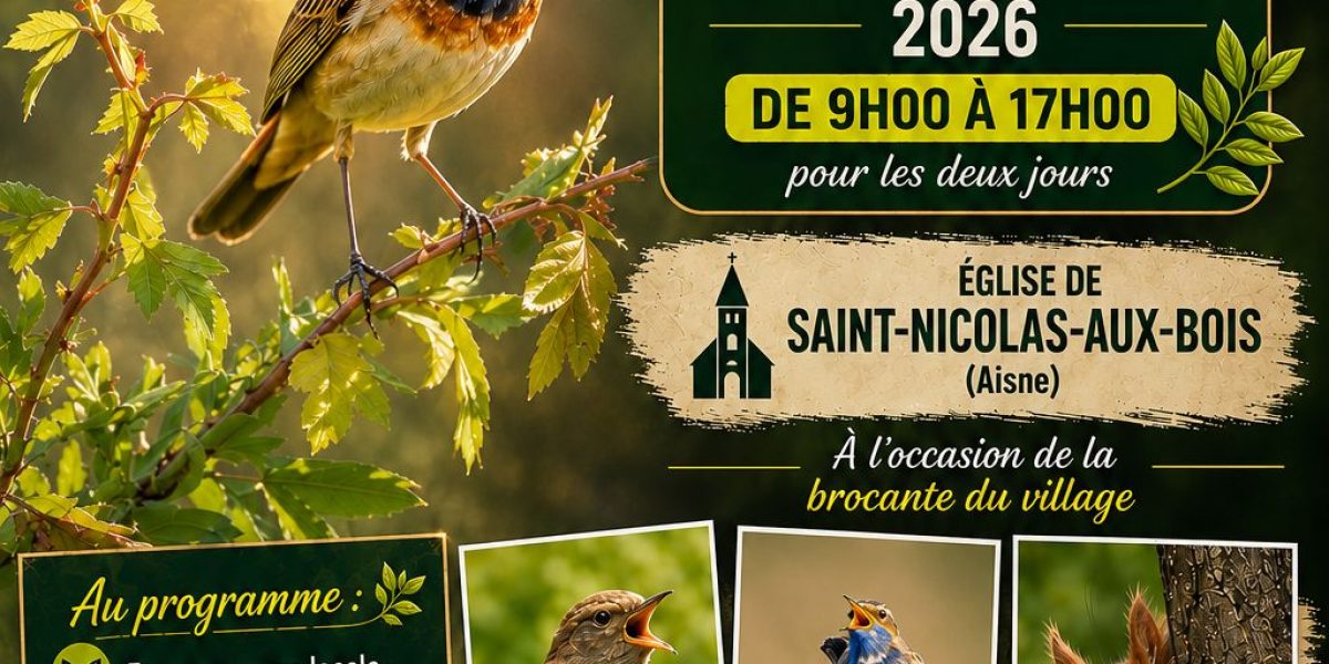Exposition de Alain B. & Patrice