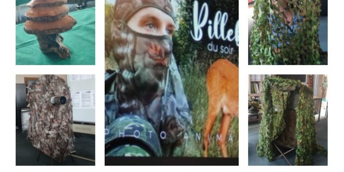 Séance  « Tuto de la photo animalière »