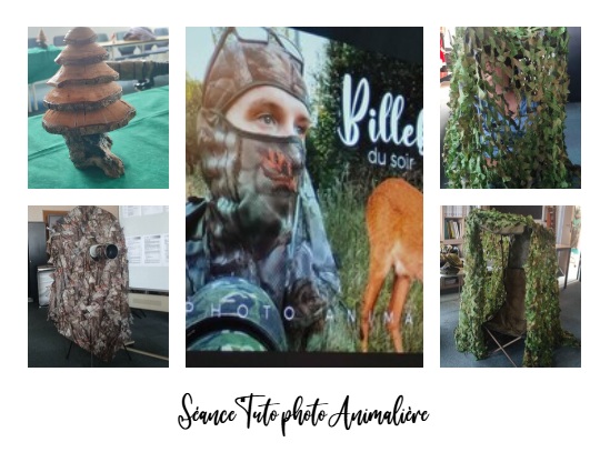 Lire la suite à propos de l’article Séance  « Tuto de la photo animalière »